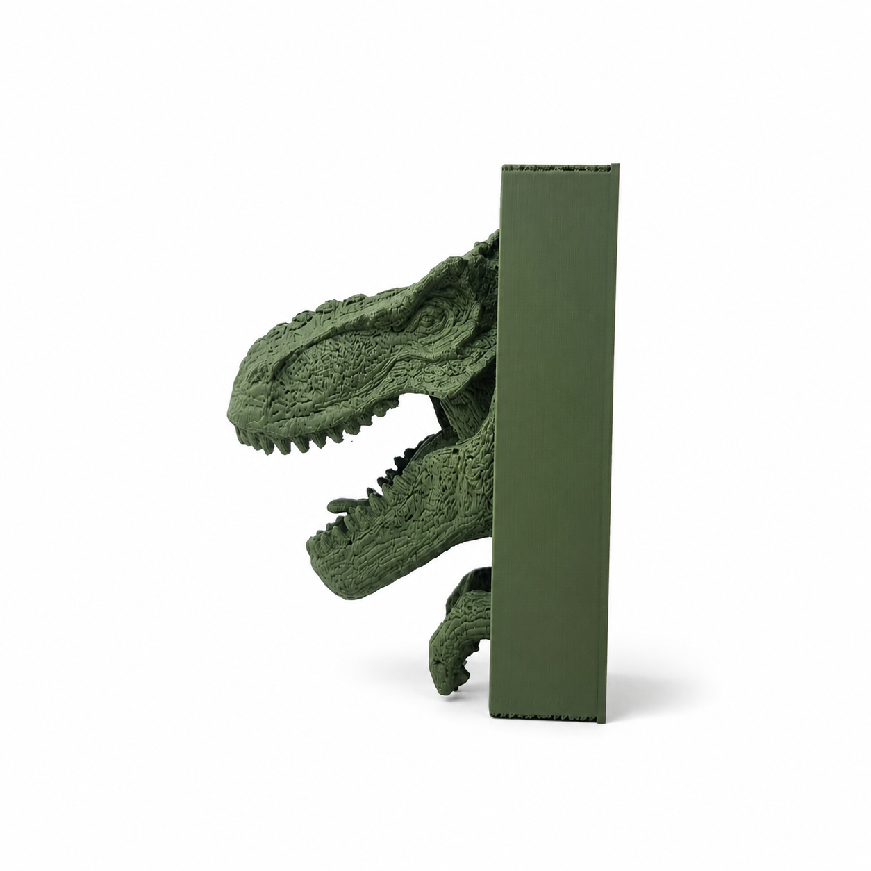 Book Nook 3D- T-rex