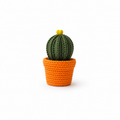 Figurka 3D – Kaktus